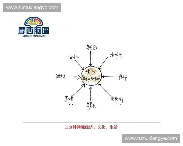 全面解析高效制作赛程表的方法与技巧助你轻松规划各类赛事安排